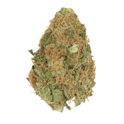 Cannamedical Sativa classic NM Gelato Dream